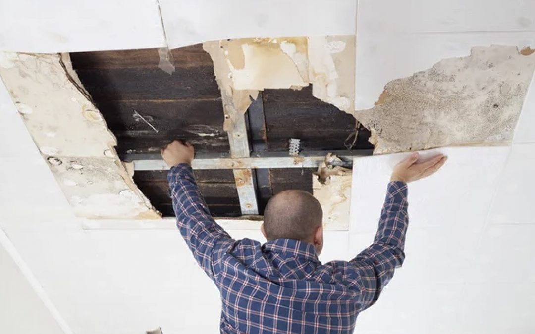 RC02-Godbolt Home – Roof/Structural Repair